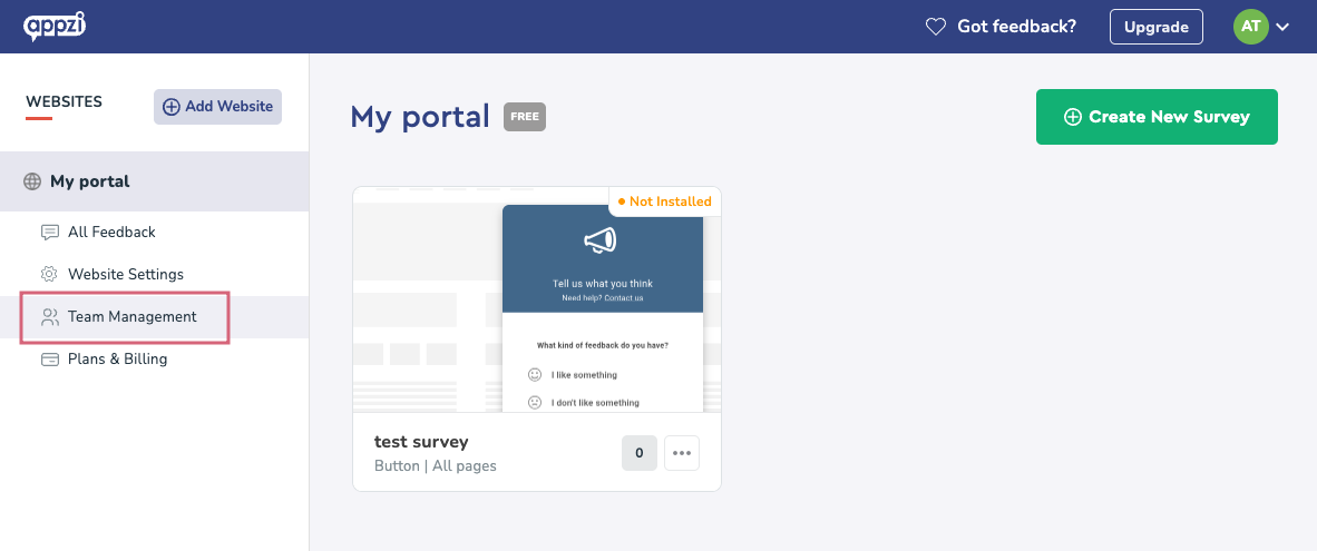 Navigate to Settings and select Team